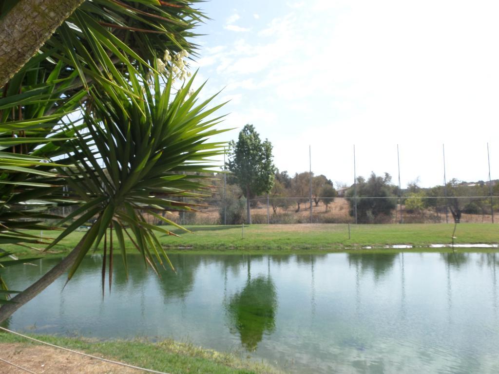 Yellow Alvor Garden エクステリア 写真