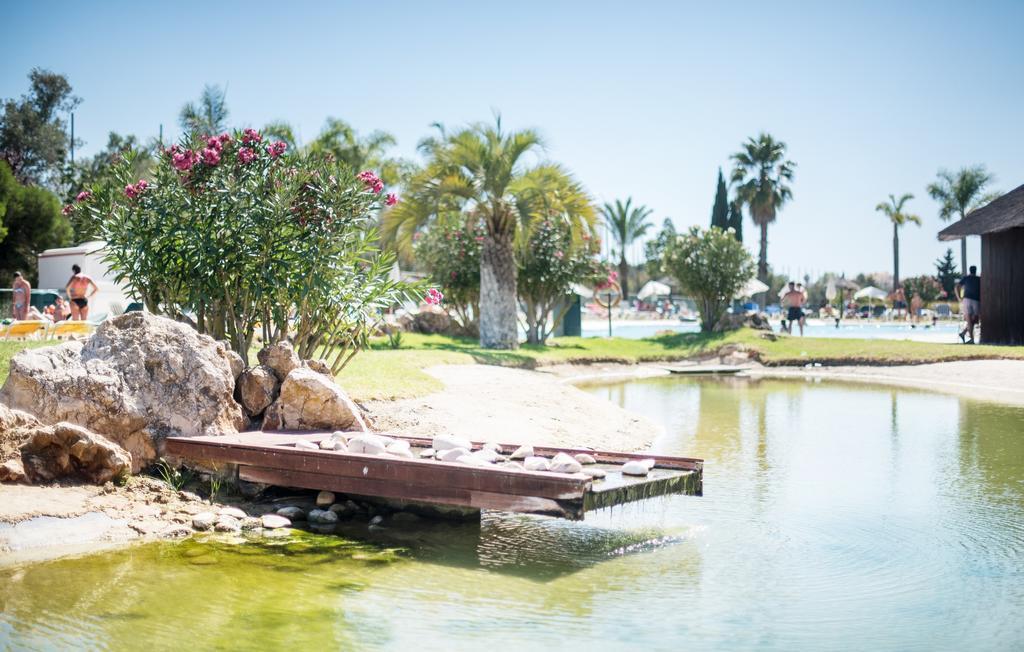 Yellow Alvor Garden エクステリア 写真