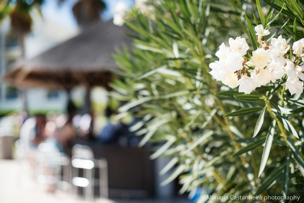 Yellow Alvor Garden エクステリア 写真